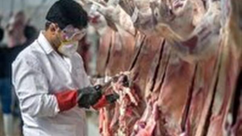 نظارتهای بهداشتی در کشتارگاههای طیور زنجان ادامه دارد