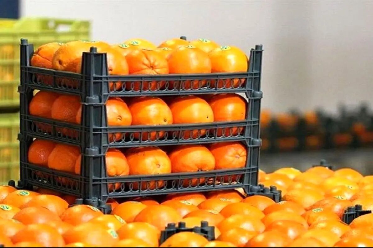 توزیع میوه عید از ۲۰ اسفند آغاز میشود