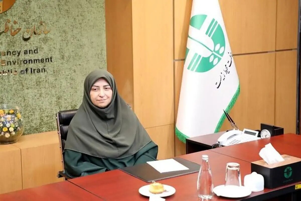 انصاری: جنگ تحمیلی، محیط زیست را در معرض تهدید قرار داده است