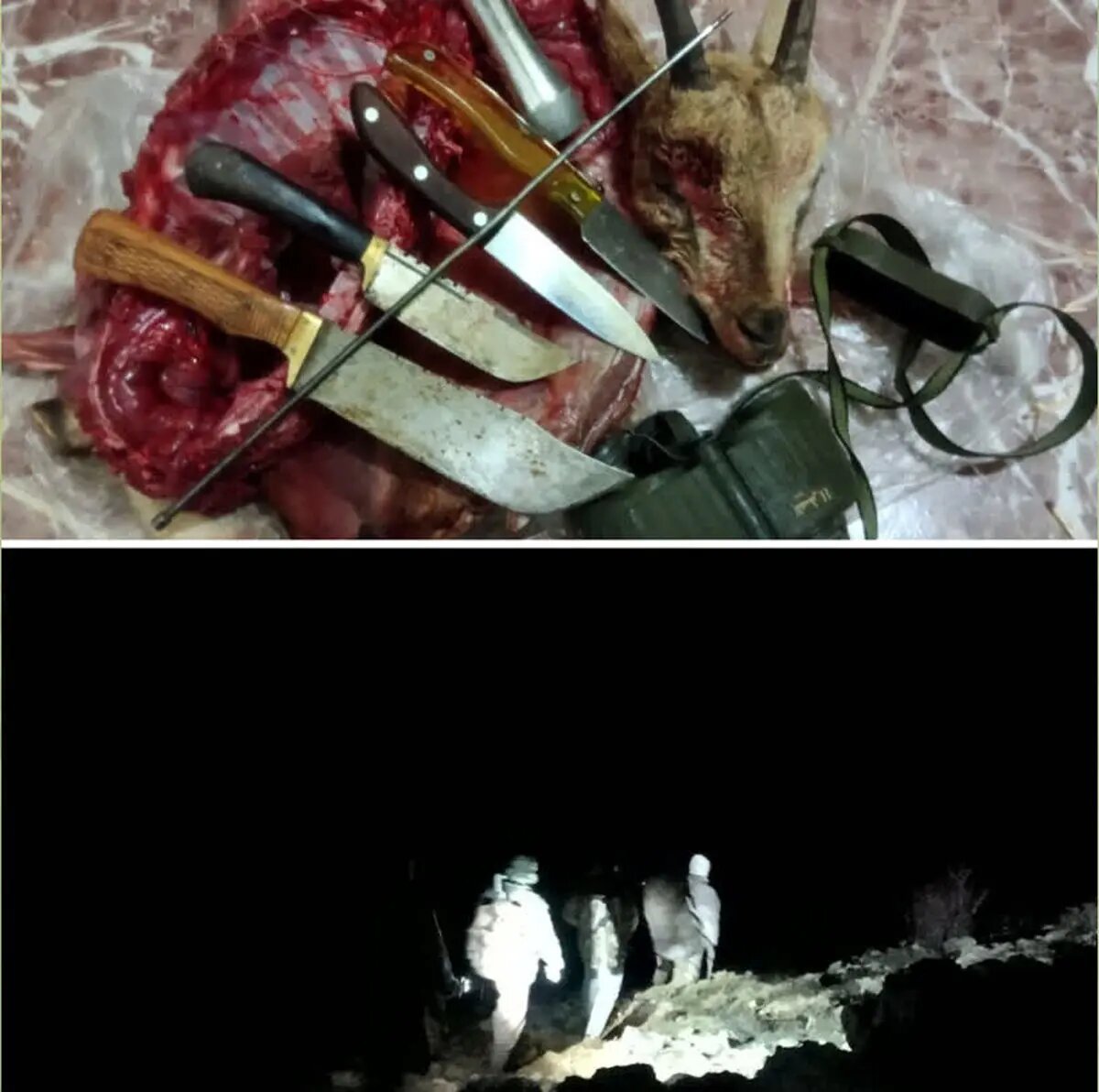 متخلفان شکار حیاتوحش و کشف لاشه کل وحشی در منطقه حفاظت شده قیصری چهارمحال و بختیاری دستگیر شدند