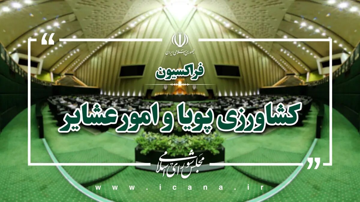 سکوت سازمان‌های بین‌المللی در قبال تجاوز به سازمان منابع طبیعی، اعتبار آن‌ها را کاهش می‌دهد