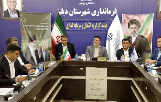 فرماندار دیلم: نظارت دقیق بر روند اجرای طرحهای اشتغالزا انجام شود