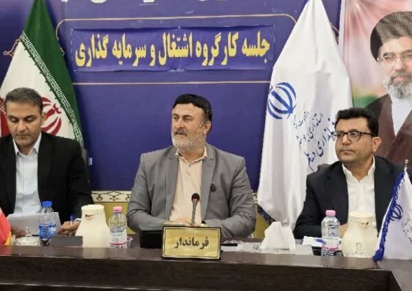 پروانه: تقویت نظام نظارت و ارزیابی طرحهای اشتغالزایی ضروری است