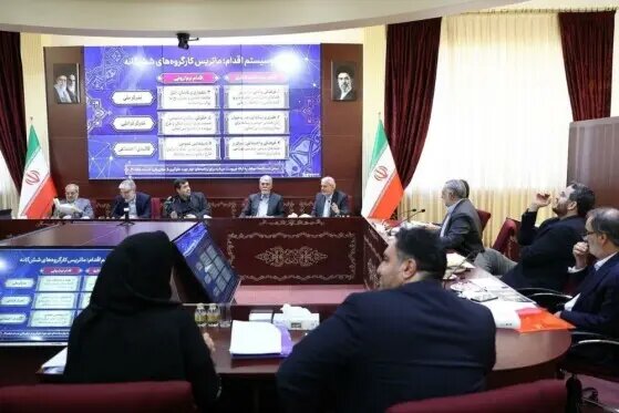 میناب محور برنامههای شورای همافزایی وزارتخانههای فرهنگی+ تصاویر