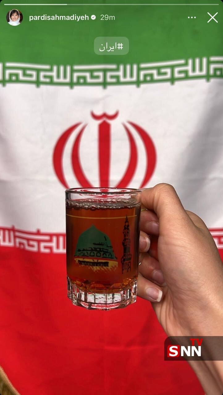 استوری پردیس احمدیه بازیگر سینما در تجمعات خیابانی + عکس