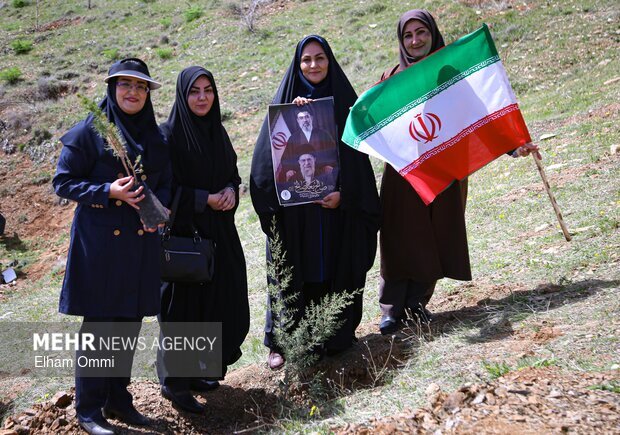 طرح یک میلیارد درخت در نیمه راه؛ بقای نهالها مهمتر از آمار کاشت