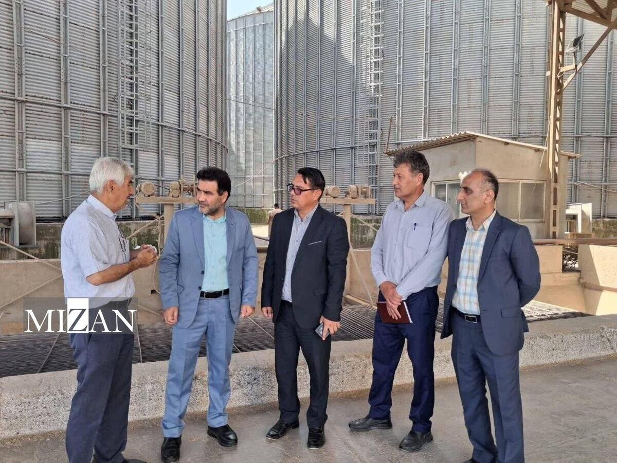 تدبیر پیش از بحران؛ اقدام پیشگیرانه دادستانی ترکمن برای کاهش حوادث جادهای در فصل برداشت گندم