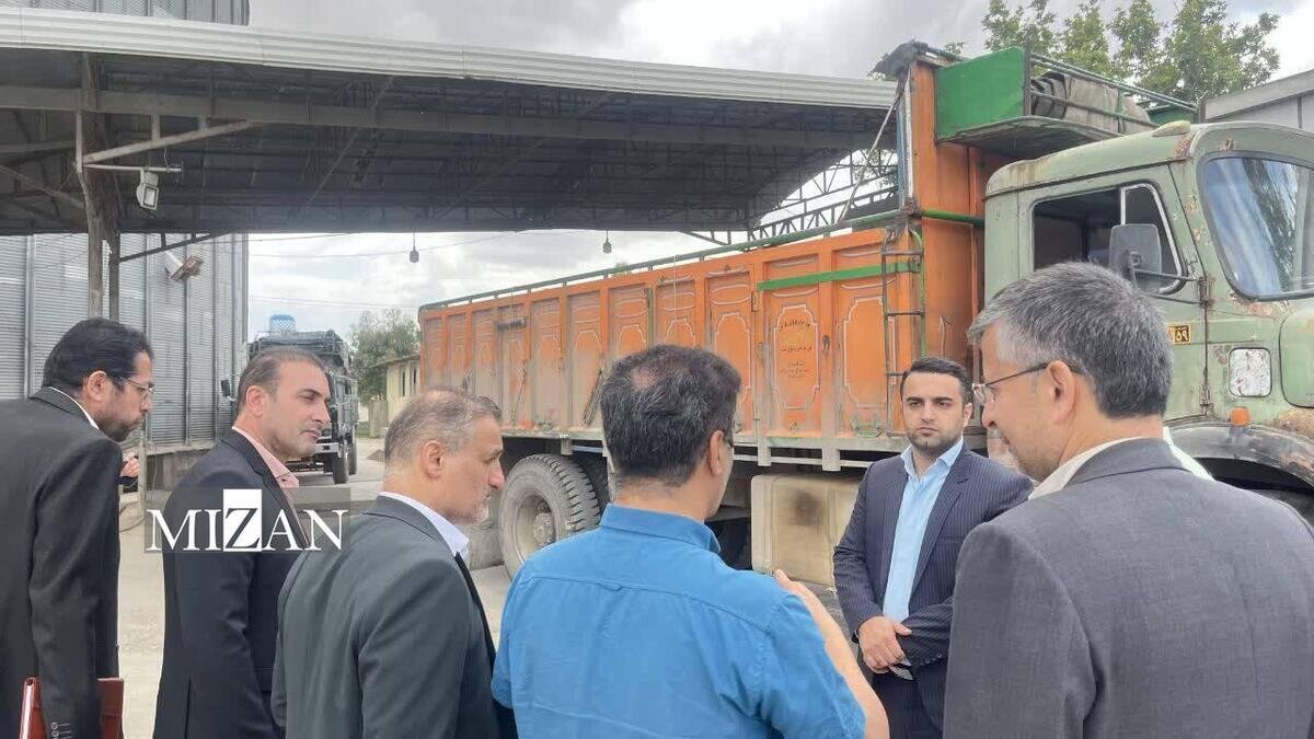 نظارت قضایی بر خرید تضمینی گندم در آق‌قلا؛ حمایت از حقوق کشاورزان در فصل برداشت