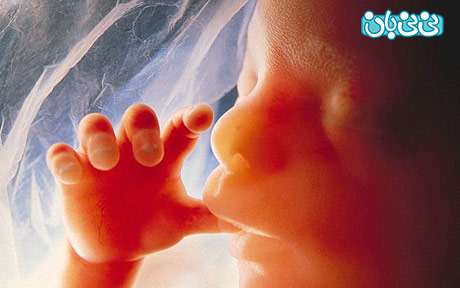 سقط جنین، از علت تا درمان