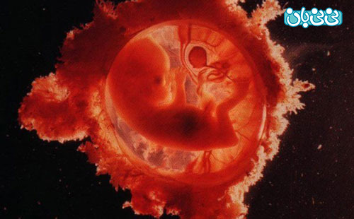 حرکات جنین و آنچه مادران باردار باید بدانند