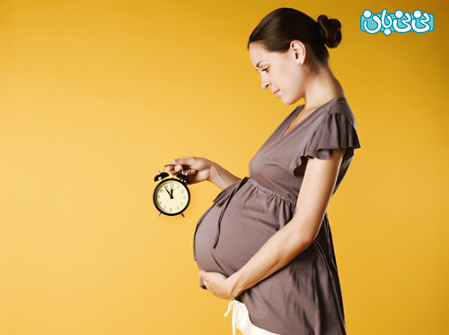 تقويم بارداری از صفر تا 9 ماهگی