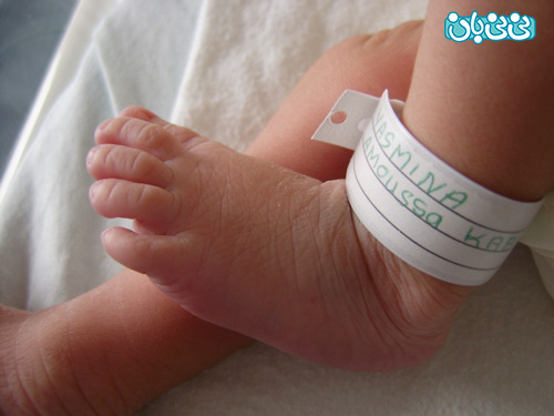 پر طرفدارترین نام برای نوزادان تهرانی