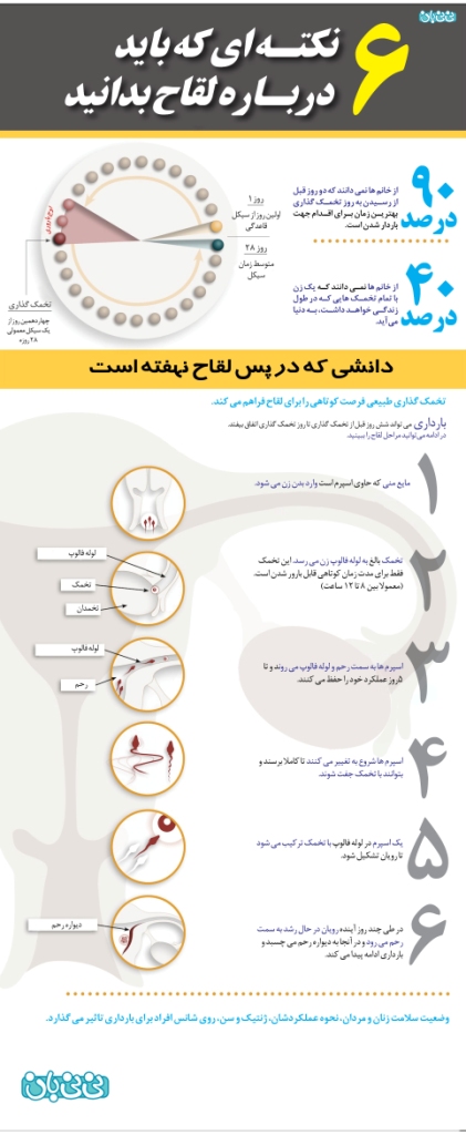 تصویری: 6 نکته درباره لقاح (11)