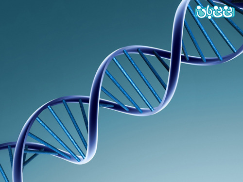 تشخیص سندرم داون از طریق DNA