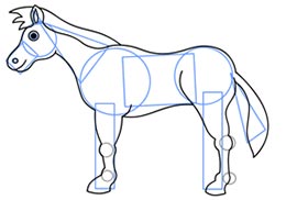 آموزش کشیدن اسب، با خطوط ساده
