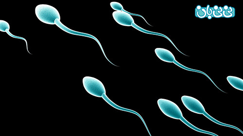 تقویت اسپرم در مردان با این روش ها