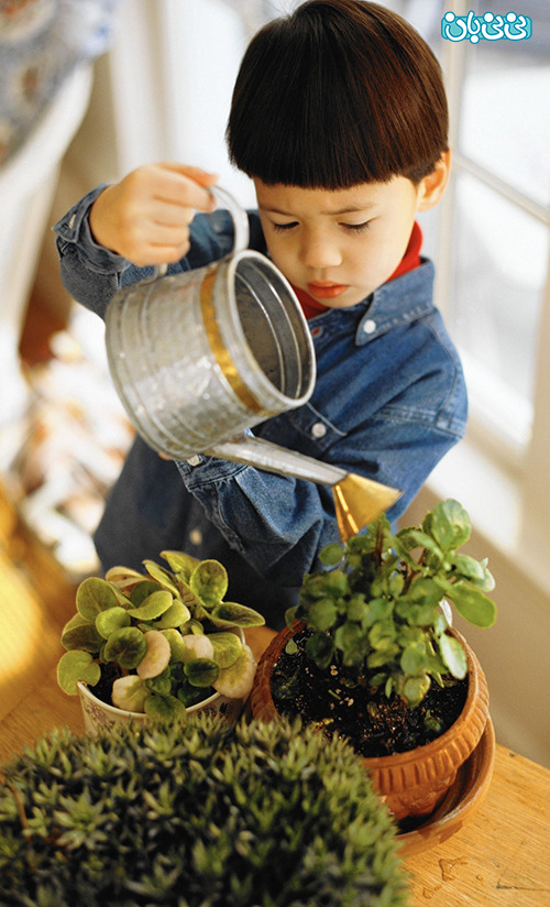 گیاهان آپارتمانی باعث مسومیت کودکان می شوند؟