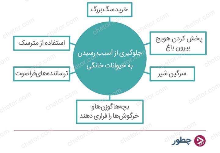 نکاتی برای ایجاد خلاقیت در تصمیم گیری