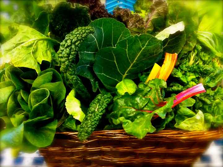 مضرات خام گیاهخواری برای سلامتی چیست؟