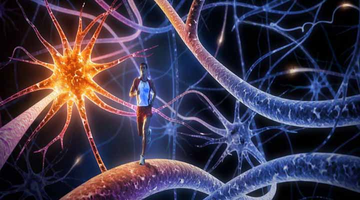 ۱۱ راه طبیعی برای افزایش ترشح سروتونین در مغز و کاهش افسردگی