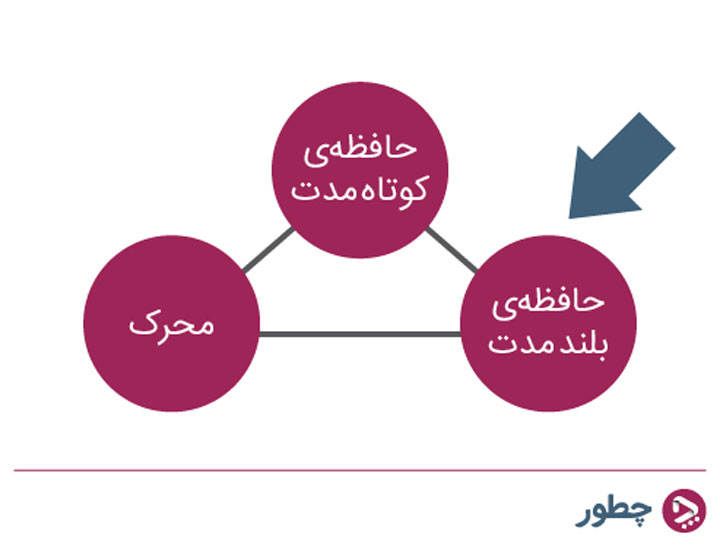 روانشناسی رفتار مصرف کننده؛ چرا برخی کالاها شانس بیشتری برای دیده شدن دارند