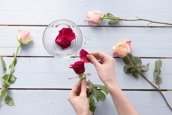 خواص گلاب برای سلامتی و زیبایی | چطور