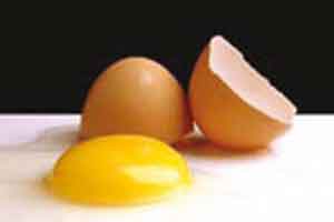 نگهداری طولانی تخم‌مرغ