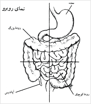 تزئینات رنگین با روبان