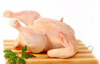 نکات ایمنی در استفاده از مرغ
