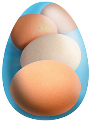 چه وقت تخم مرغ سفت شده است؟