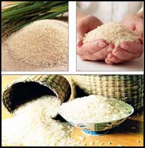 برنج خوب چه برنجی است؟