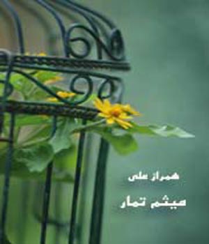 میثم؛ آزاد شده اسیر