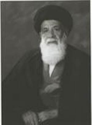 استاد سید مرتضی نجومی