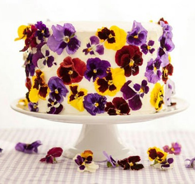 کیک وانیلی با گل های بنفشه
