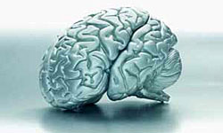مغز آماج عملیات روانی