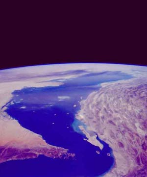 استثنایی در حلقه شیوخ خلیج فارس