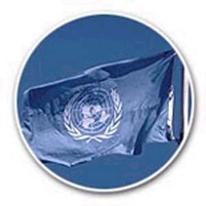 سازمان ملل نهادی جهانی, عملكردی غیرجهانی
