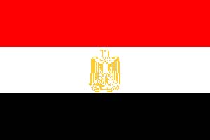 شتابزدگی ریاست جمهوری و فرصت طلبی مصری ها
