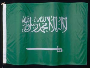 آئین سیاست ورزی شاهزادگان سعودی