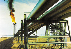 ۳۰ سال اقتدار در صنعت نفت و گاز