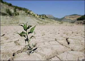 چرا وعده خودکفایی داده شد