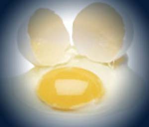 اثر مكمل های ویتامینه A و E روی مقدار ویتامین E زرده تخم مرغ