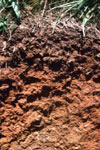 پایداری خاکدانه های خاک خشک متاثرازخصوصیات انتخابی منتخب خاک