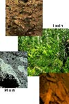 تاثیر اقلیم بر خصوصیات مورفولوژیکی و کانی شناسی بعضی از خاک های تشکیل شده از مواد مادری آهکی در مناطق جنگلی شمال ایران