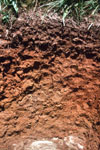 امکان تصحیح اثرات شوری بر قرائت بلوک گچی در اندازه گیری رطوبت خاک