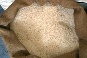 کیفیت دانه برنج های معطر