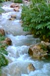 ارزیابی زیستی رودخانه چافرود استان گیلان با استفاده از ساختار جمعیت ماکروبنتوز