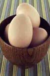 بهبود شرایط بهداشتی در کارکردن با تخم مرغ