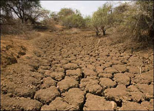 خشکسالی چیست