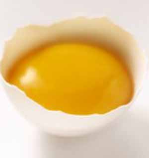 ویژگی ها و روش های آزمون زرده خشك تخم مرغ